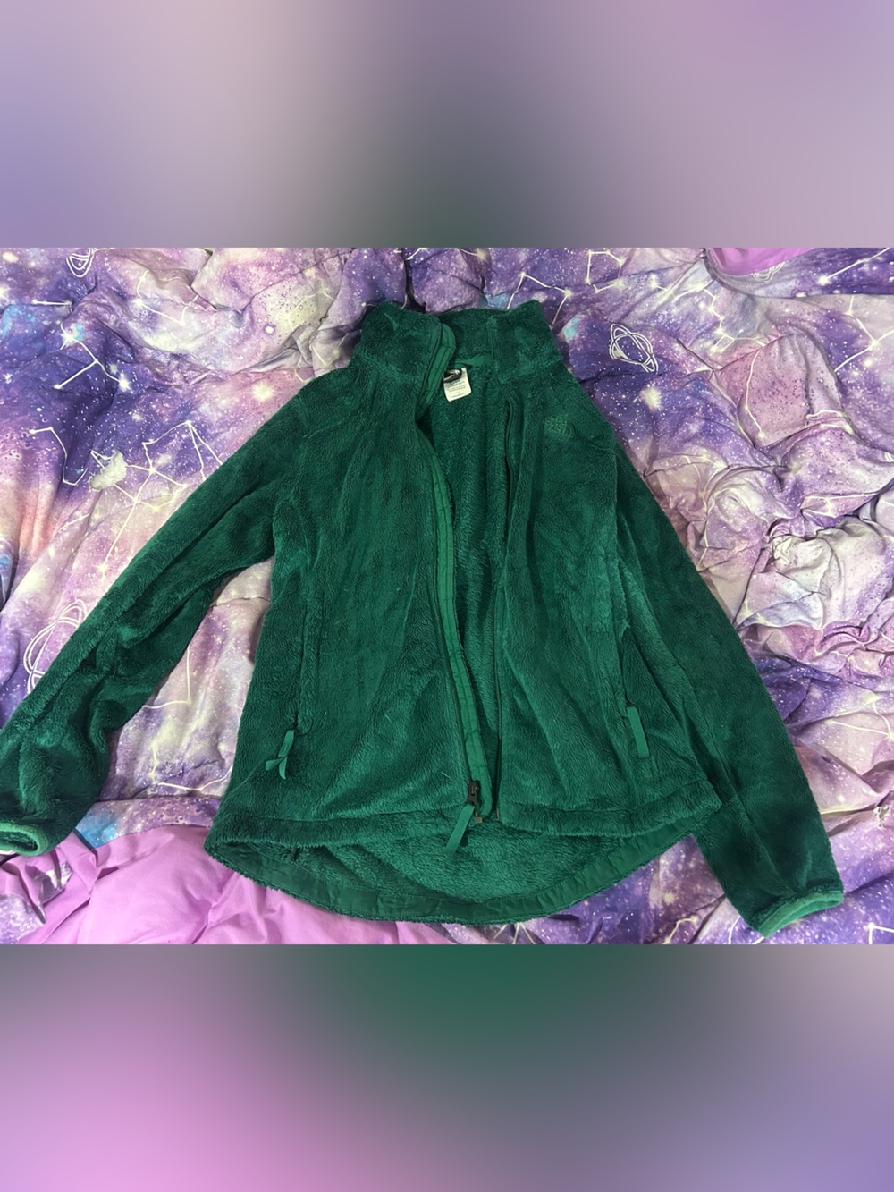 The North Face Deep Green Teddy Fleece Jacket - Women